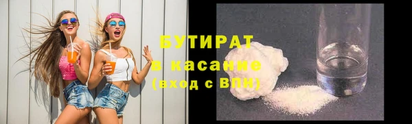 сатива Каменка